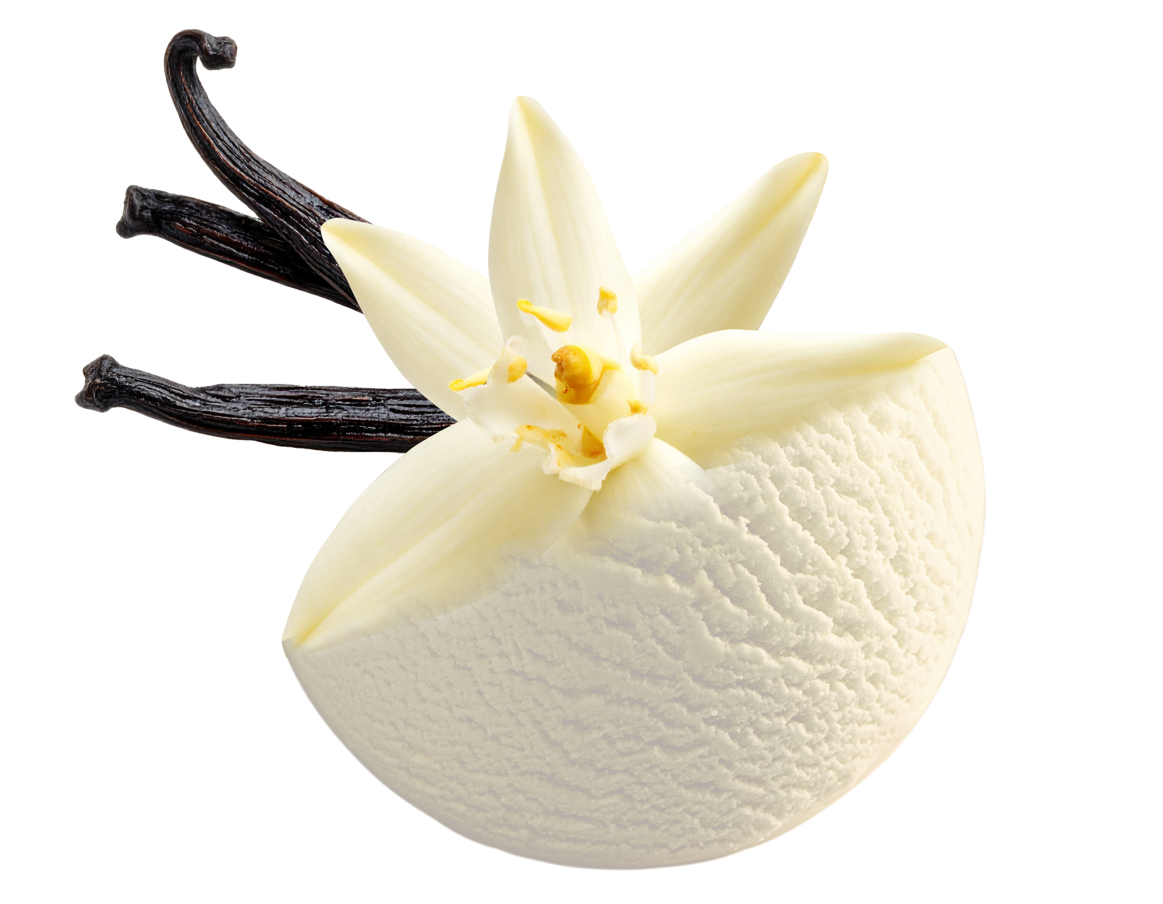 Vanilla Ice Cream